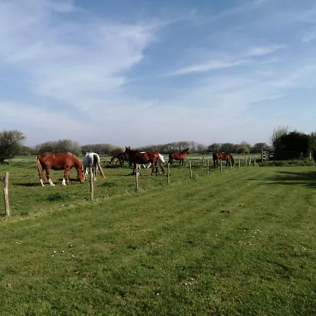 Ivy House Utah * Sainte-Marie-du-Mont (Manche)