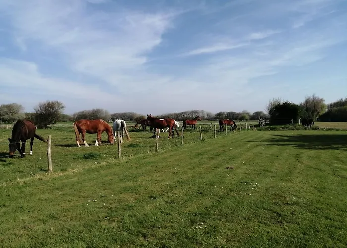 Ivy House Utah * 생마리뒤몽